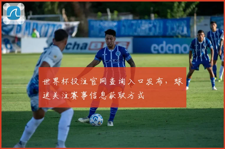 世界杯投注官网查询入口发布，球迷关注赛事信息获取方式