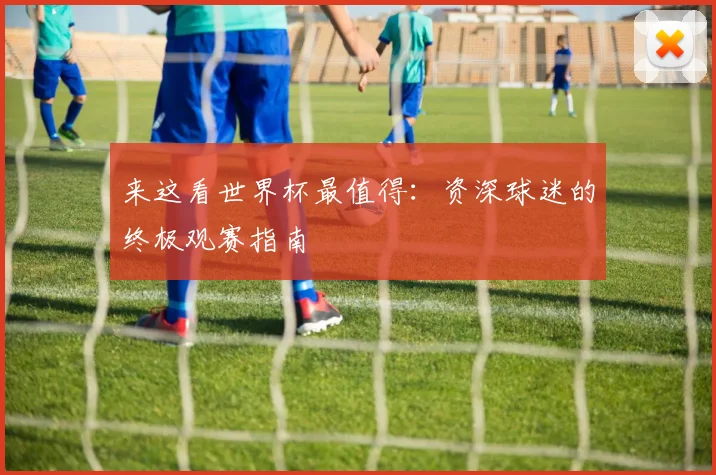 来这看世界杯最值得：资深球迷的终极观赛指南