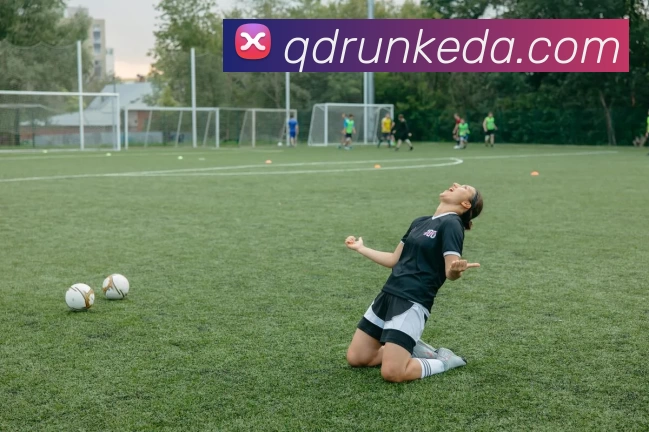 星空体育官网在线登陆品牌故事